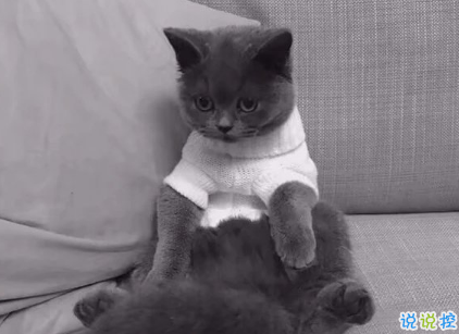 2018朋友圈说说搞笑配图 朋友圈必评论的搞笑说说3