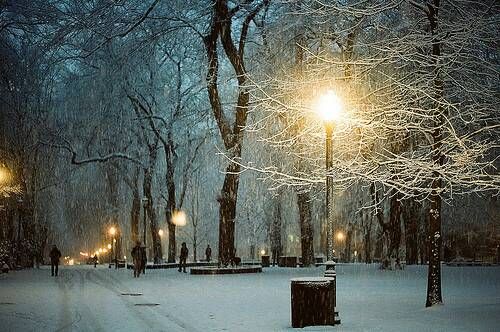 优美有诗意的唯美文艺英文说说带图片5