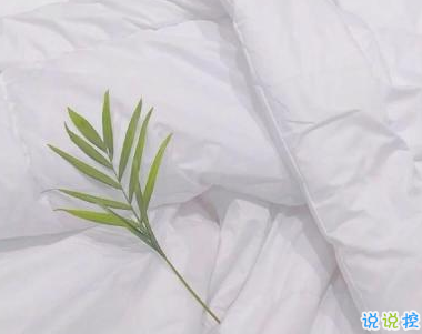 描写春天的唯美句子带图片 2019适合春天的微信说说句子13