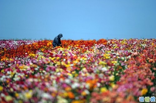2019女生节微信说说大全带图片 三七女生节朋友圈祝福语说说11