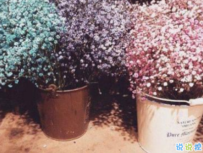 心已经凉透了的说说带图片 不吵不闹很悲伤的说说12