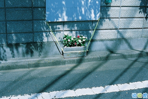 人生很现实经典励志图片说说 人的一生难免有起伏15