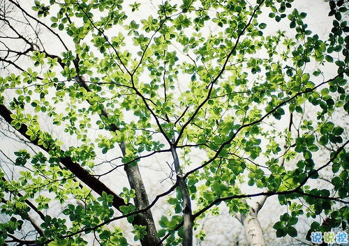 2019微信朋友圈励志晚安心语带图片 早安晚安勿忘心安7