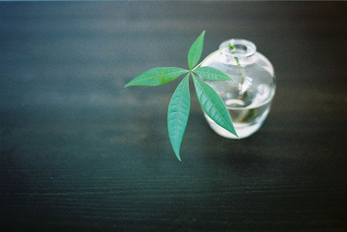 唯美浪漫的说说带图片 最美好的事情就是抬头遇见了你14