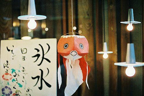 关于人生和爱情的唯美小清新句子带图片 我路过万家灯火而你才是我的归途8