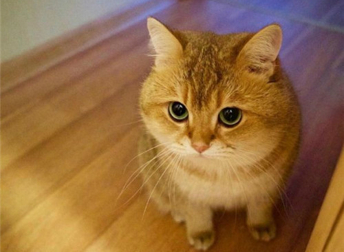 可以戳中中你笑点的搞笑说说带图片4