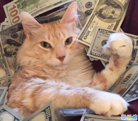 可爱说说配图2018女生专属 我生来就是宝贝，来到世间就是被宠的1