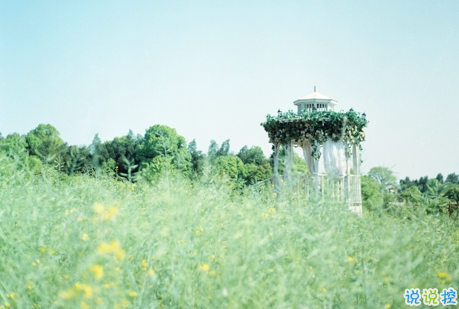 经典有道理的说说带图片:我读过很多书,但后来大部分都被我忘记了2