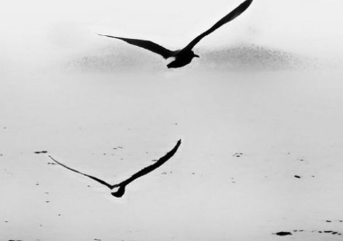 写给自己的情书14句精选英文经典说说带图14