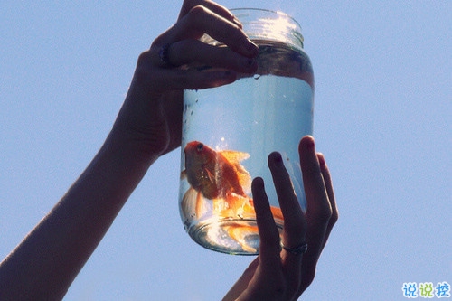 关于青春年华浪漫唯美的爱情句子 年少的笑漾着微光14