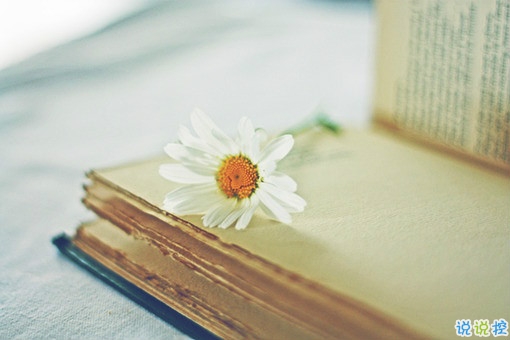 写给失恋分手后的伤感说说带图片 很难过的一个人感到孤独寂寞的说说12