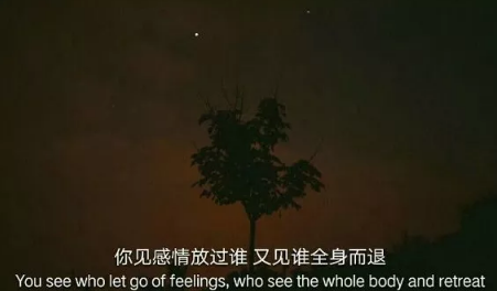 伤感句子表达心情失落长句 无人待我情自深无人伴我立黄昏3