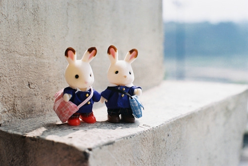 很励志的正能量说说带图片 我有孤勇一腔起于星光止于他乡9