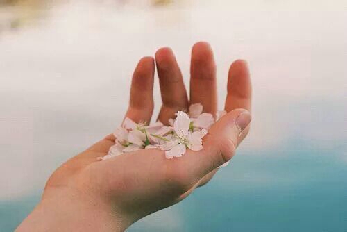 关于人生和爱情的唯美小清新句子带图片 我路过万家灯火而你才是我的归途11