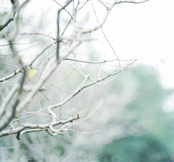 关于一个人旅行的精辟哲理说说带图片 每一次旅行其实都是一场修行8