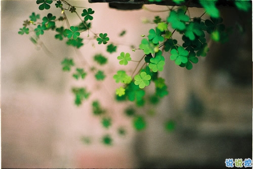 经典正能量朋友圈说说带图片 2018别人必评的经典说说配图4