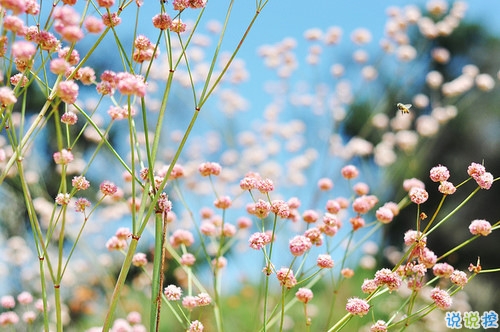 2019微信朋友圈励志晚安心语带图片 早安晚安勿忘心安14