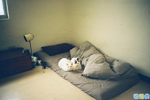 12月你好唯美说说简短一点的带图片 2018十二月你好说说最新发朋友圈的12