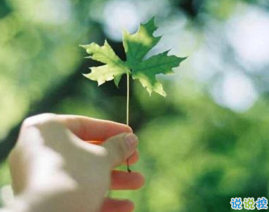 描写春天的唯美句子带图片 2019适合春天的微信说说句子9