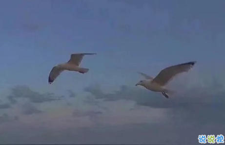 唯美说说配图伤感篇2018:年纪大了只想跟相处不累的人在一起6