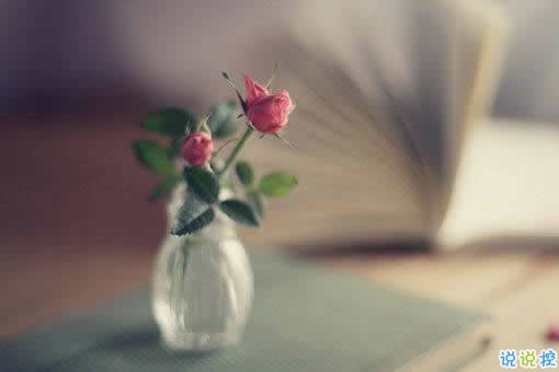 唯美英文励志正能量感悟人生的句子和图片10