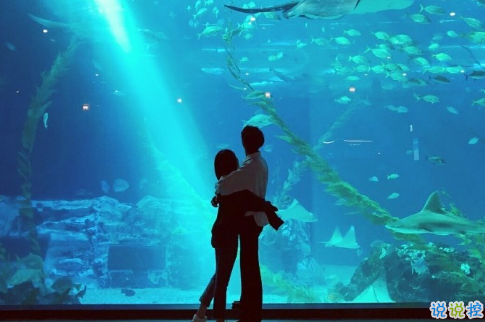 很甜的爱情说说配图：小学时，想和喜欢的人同桌；初中时，想和喜欢的人同班6