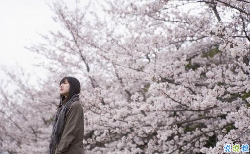 甜蜜的是草莓味的爱情说说带图片 穿过茫茫人海与你相遇4