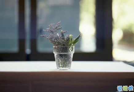 经典有道理的说说带图片:我读过很多书,但后来大部分都被我忘记了6