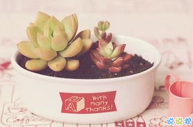 承蒙你出现,够我喜欢好多年11