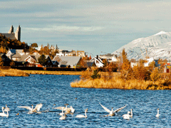 在冬天能够温暖人心的唯美说说 遇你在春熟在夏疏在秋别在冬