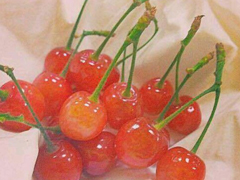 超甜蜜的句子少女心炸裂的情话 适合表白时说的句子