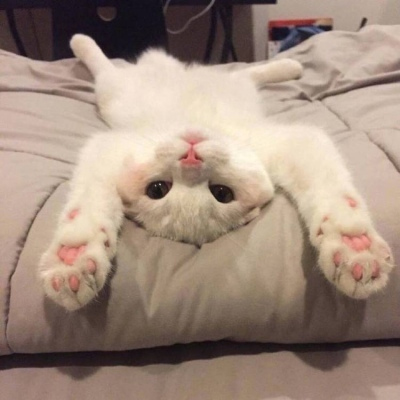 调皮搞怪的说说超短搞笑 明天再喜欢你吧我今天真的太困了