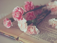 生活很丧的经典句子大全2018 一些很丧很绝望的句子短一点