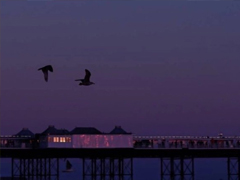 气质唯美适合各种心情的句子 一个人散步是和地球单独的约会