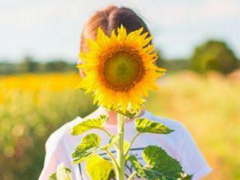 2018人生哲理的句子带图片带字 很精辟的人生哲理句子配图14条