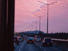 唯美说说心情句子带图片 既然生便与夏花一样的绚烂