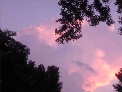 很无聊的搞笑说说 无聊到爆的朋友圈心情短语