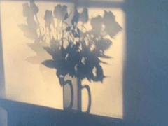 赏月时可以发朋友圈的说说 一轮明月思悠悠