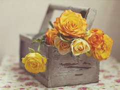 经典唯美的浪漫句子致爱情 很暖心很有爱的唯美句子大全