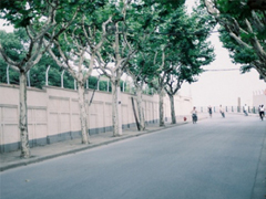 2019写小寒的抒情句子大全 最新小寒节气微信朋友圈祝福语句子