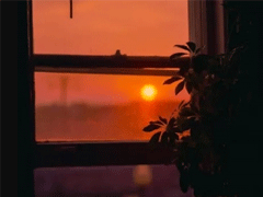 周末早安心语正能量 所有光芒都是努力埋下的伏笔