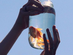 2018发朋友圈的精辟心情说说带图片 朋友圈转发过万的说说配图