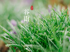 2019谷雨朋友圈说说配图 谷雨节发朋友圈的说说优美
